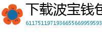 下载波宝钱包